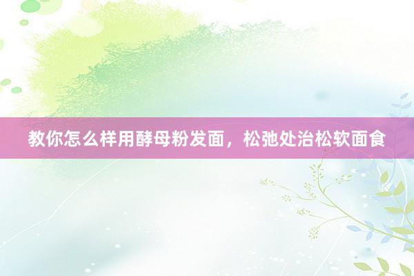 教你怎么样用酵母粉发面，松弛处治松软面食