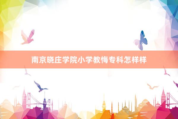 南京晓庄学院小学教悔专科怎样样